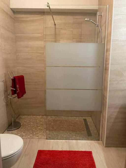 Charmant Appartement Renove Au Coeur Du Village Saint-Martin-Vésubie Exterior foto